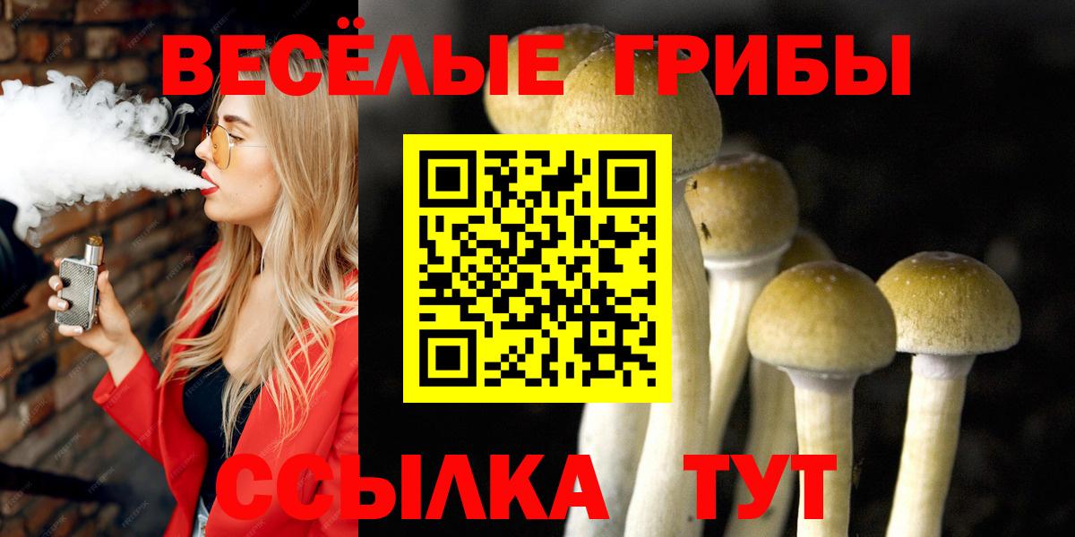 Псилоцибиновые грибы прущие грибы  Псилоцибиновые грибы Psilocybine cubensis  Чайковский  Вход с VPN 